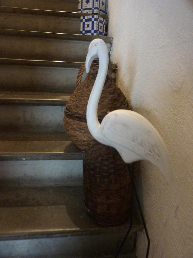La Maison Narbonnaise Narbona Zewnętrze zdjęcie